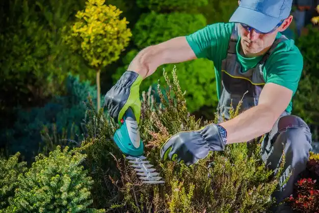 landscaping services Grosse Pointe Woods